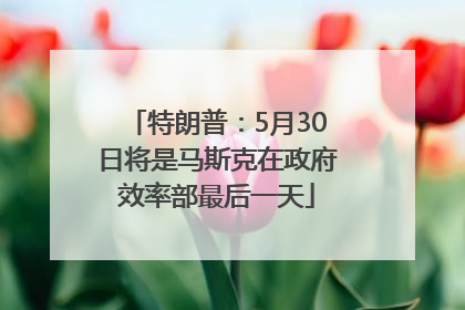 特朗普：5月30日将是马斯克在政府效率部最后一天