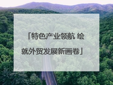 特色产业领航 绘就外贸发展新画卷