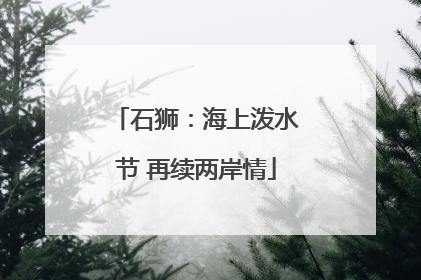 石狮：海上泼水节 再续两岸情