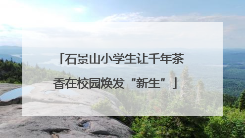 石景山小学生让千年茶香在校园焕发“新生”