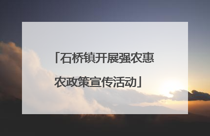 石桥镇开展强农惠农政策宣传活动