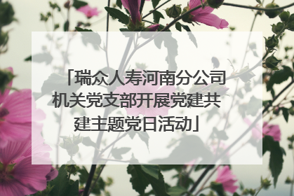 瑞众人寿河南分公司机关党支部开展党建共建主题党日活动