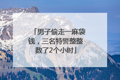 男子偷走一麻袋钱，三名特警整整数了2个小时