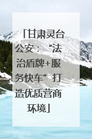 甘肃灵台公安：“法治盾牌+服务快车”打造优质营商环境