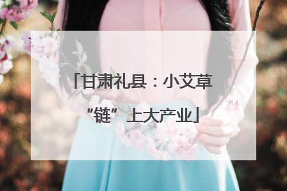 甘肃礼县：小艾草“链”上大产业