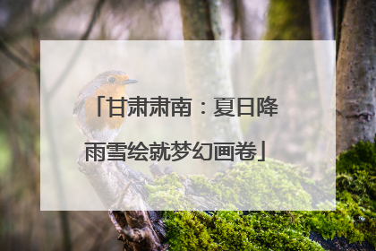 甘肃肃南：夏日降雨雪绘就梦幻画卷