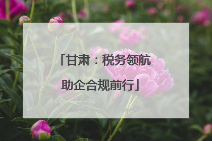 甘肃：税务领航 助企合规前行