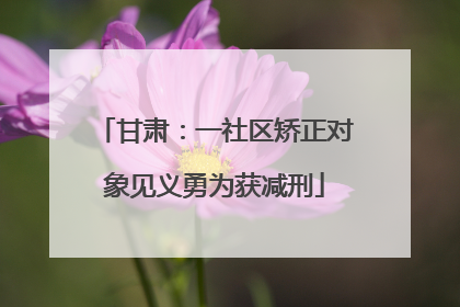 甘肃：一社区矫正对象见义勇为获减刑