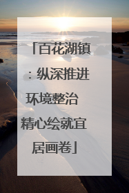 百花湖镇：纵深推进环境整治 精心绘就宜居画卷