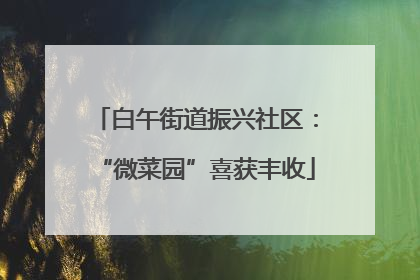 白午街道振兴社区：“微菜园”喜获丰收
