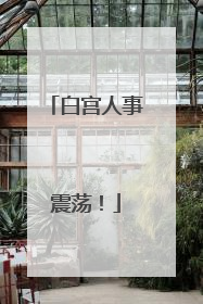 白宫人事震荡！