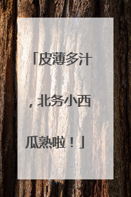 皮薄多汁，北务小西瓜熟啦！