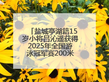 盐城亭湖籍15岁小将吕沁遥获得2025年全国游泳冠军赛200米蛙泳项目冠军