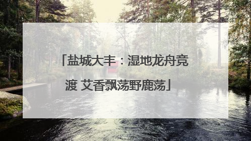 盐城大丰：湿地龙舟竞渡 艾香飘荡野鹿荡