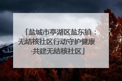 盐城市亭湖区盐东镇：无结核社区行动守护健康 ·共建无结核社区