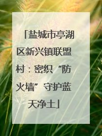 盐城市亭湖区新兴镇联盟村：密织“防火墙”守护蓝天净土
