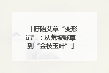 盱眙艾草“变形记”：从荒坡野草到“金枝玉叶”