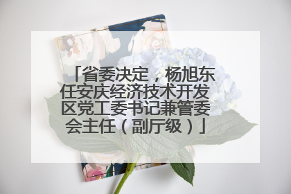 省委决定，杨旭东任安庆经济技术开发区党工委书记兼管委会主任（副厅级）