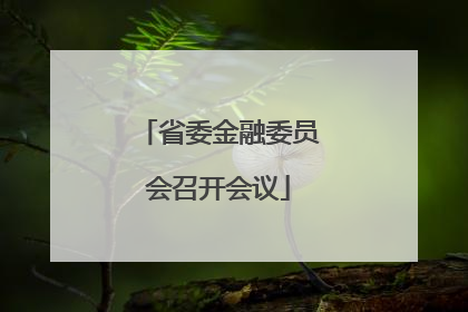 省委金融委员会召开会议