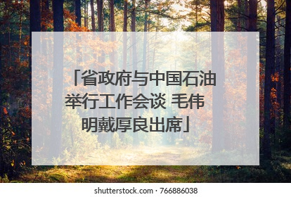 省政府与中国石油举行工作会谈 毛伟明戴厚良出席