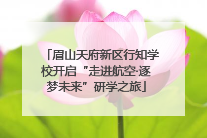 眉山天府新区行知学校开启“走进航空·逐梦未来”研学之旅