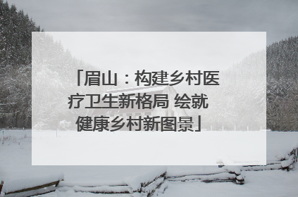 眉山：构建乡村医疗卫生新格局 绘就健康乡村新图景