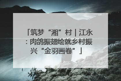 筑梦“湘”村｜江永：肉鸽振翅绘就乡村振兴“金羽画卷”