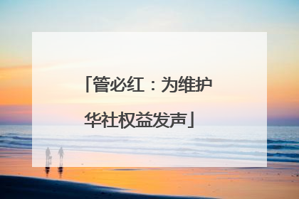 管必红：为维护华社权益发声