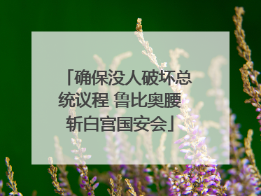 确保没人破坏总统议程 鲁比奥腰斩白宫国安会