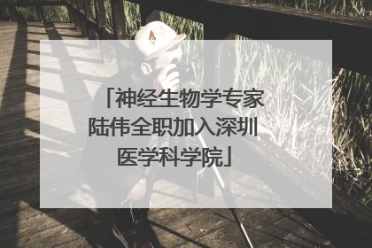 神经生物学专家陆伟全职加入深圳医学科学院