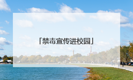 禁毒宣传进校园