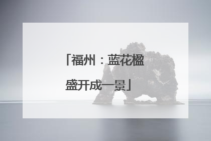 福州：蓝花楹盛开成一景