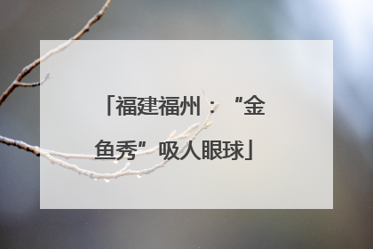 福建福州：“金鱼秀”吸人眼球