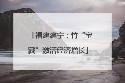 福建建宁：竹“宝藏”激活经济增长