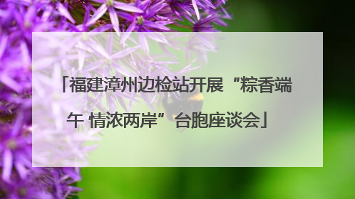 福建漳州边检站开展“粽香端午 情浓两岸”台胞座谈会