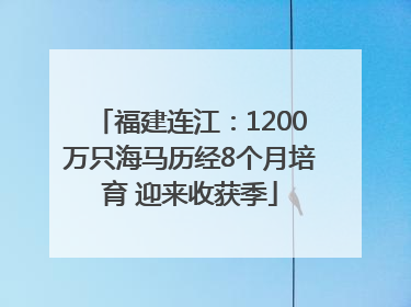 福建连江：1200万只海马历经8个月培育 迎来收获季
