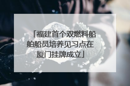 福建首个双燃料船舶船员培养见习点在厦门挂牌成立