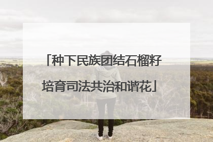 种下民族团结石榴籽 培育司法共治和谐花