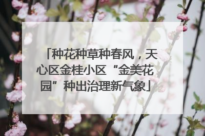 种花种草种春风，天心区金桂小区“金美花园”种出治理新气象