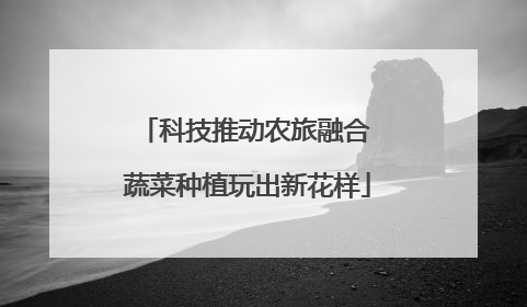 科技推动农旅融合 蔬菜种植玩出新花样