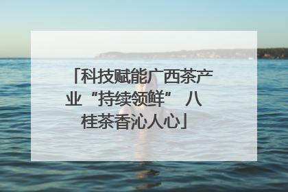 科技赋能广西茶产业“持续领鲜” 八桂茶香沁人心