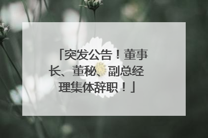 突发公告！董事长、董秘、副总经理集体辞职！