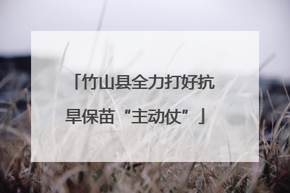 竹山县全力打好抗旱保苗“主动仗”