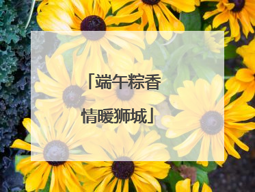 端午粽香 情暖狮城