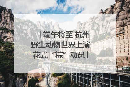 端午将至 杭州野生动物世界上演花式“粽”动员