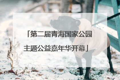 第二届青海国家公园主题公益嘉年华开幕
