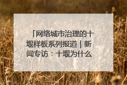 网络城市治理的十堰样板系列报道｜新闻专访：十堰为什么成为“黑马型”城市治理网络维度典型