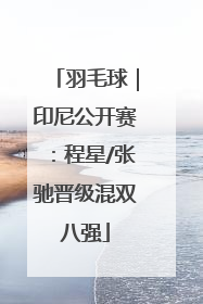 羽毛球｜印尼公开赛：程星/张驰晋级混双八强