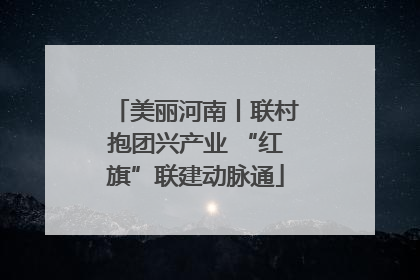 美丽河南丨联村抱团兴产业 “红旗”联建动脉通
