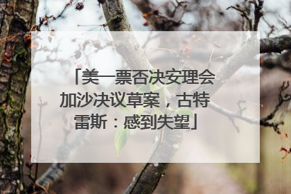 美一票否决安理会加沙决议草案，古特雷斯：感到失望
